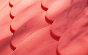 Coton plastic roof costs