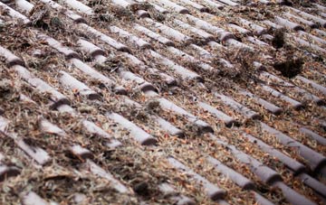 Coton roof cleaning companies