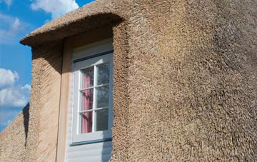 Coton thatch roof disadvantages